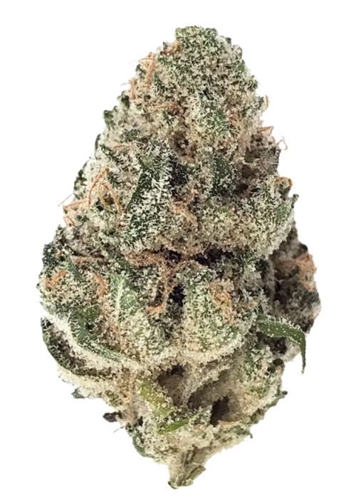 12g Blue Nerds (DISCOUNT FLOWER)