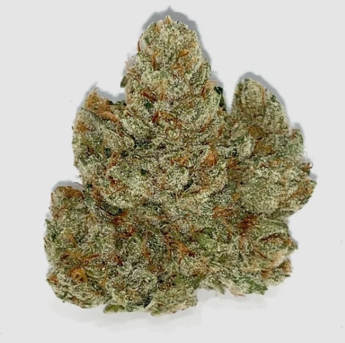 4g BTY OG (CONNOISSEUR'S CHOICE)