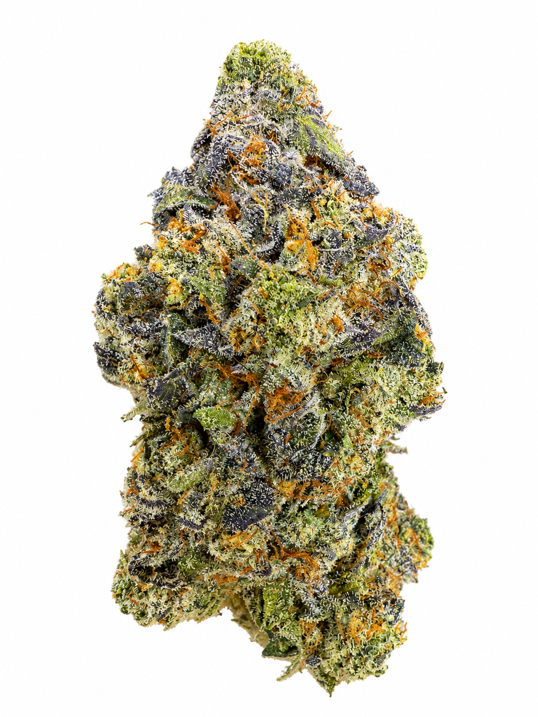 4g Presidential (CONNOISSEUR'S CHOICE)